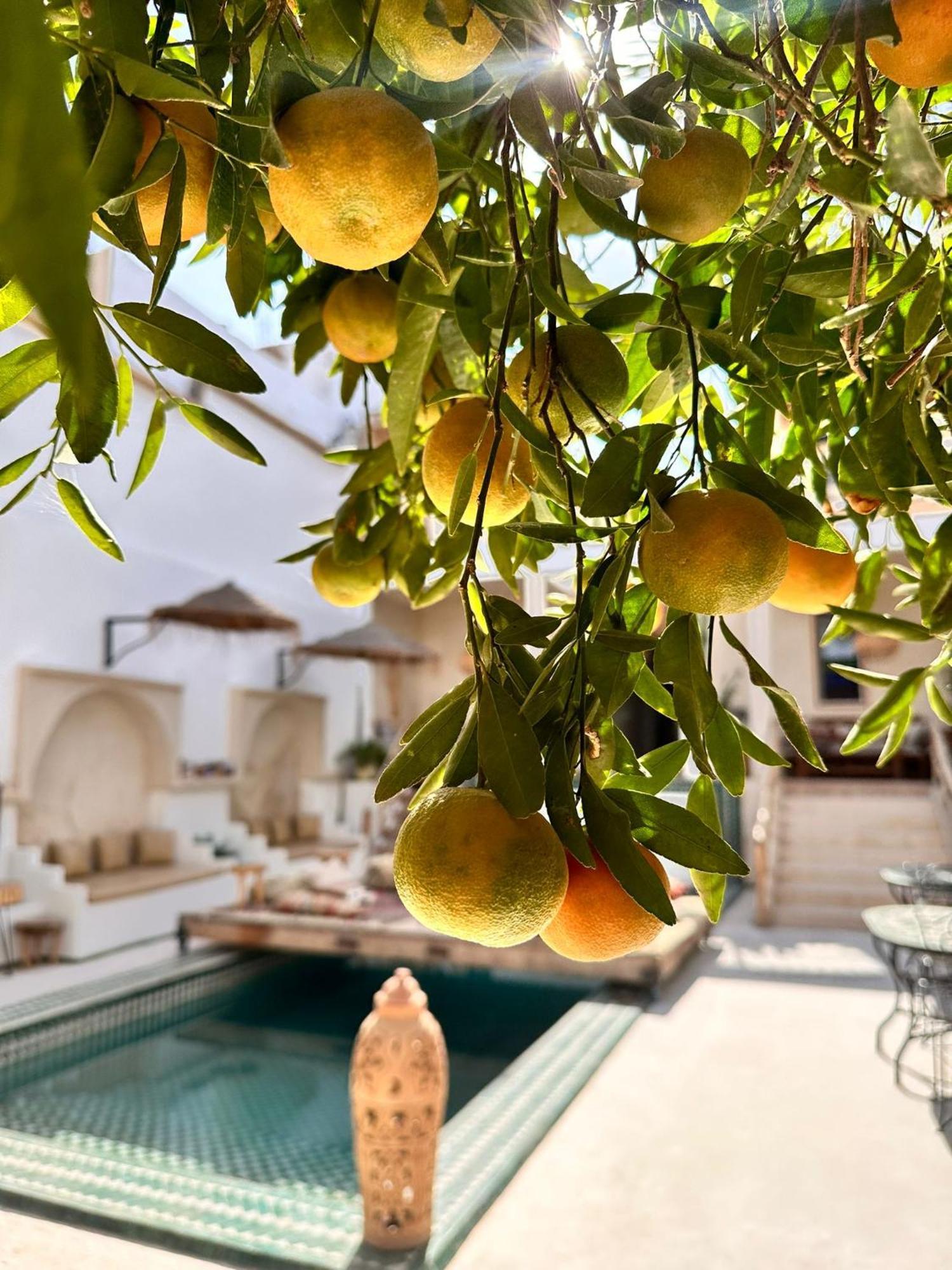 Dar Salam Souss Bed and Breakfast Taroudant Exteriör bild